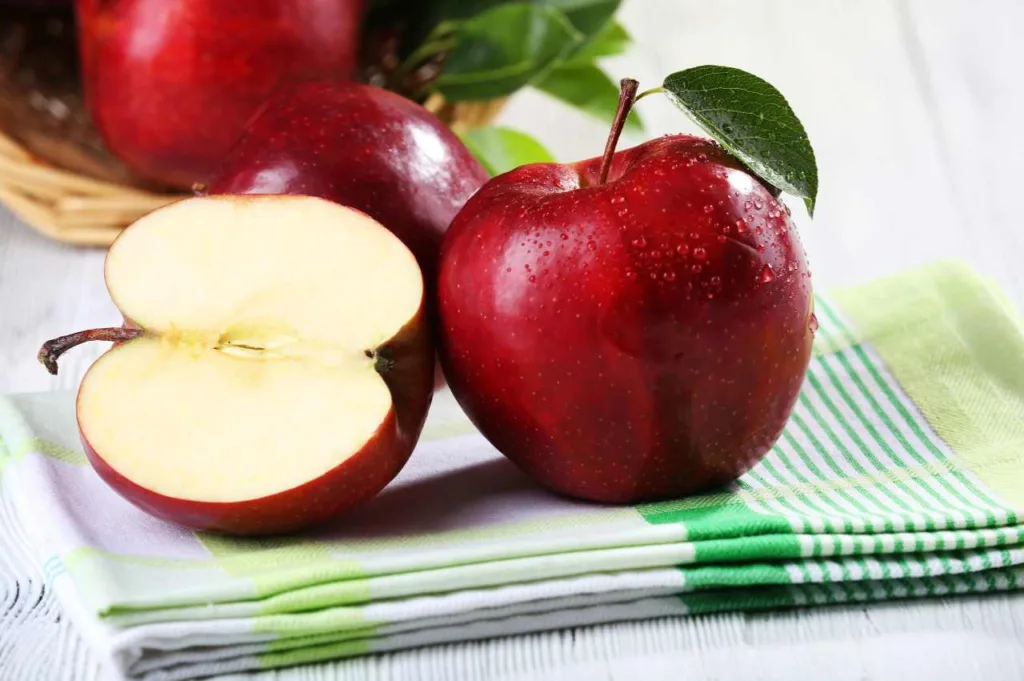 Kan hunder spise epler – Alt du trenger å vite Kan hunder spise epler - Alt du trenger å vite