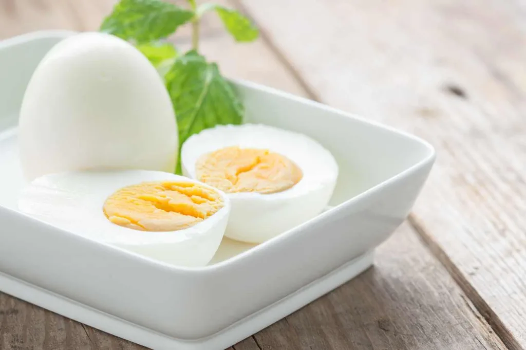 Kan hunder spise hardkokt egg - Full forklaring