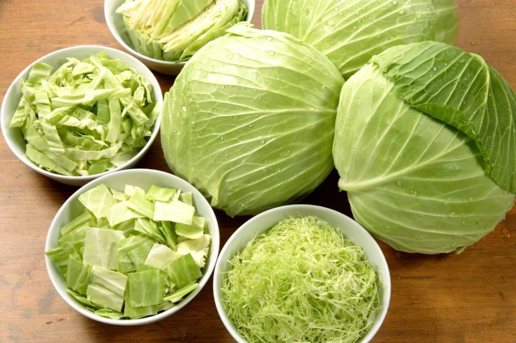 Kan hunder spise kål - Faktorer for og imot