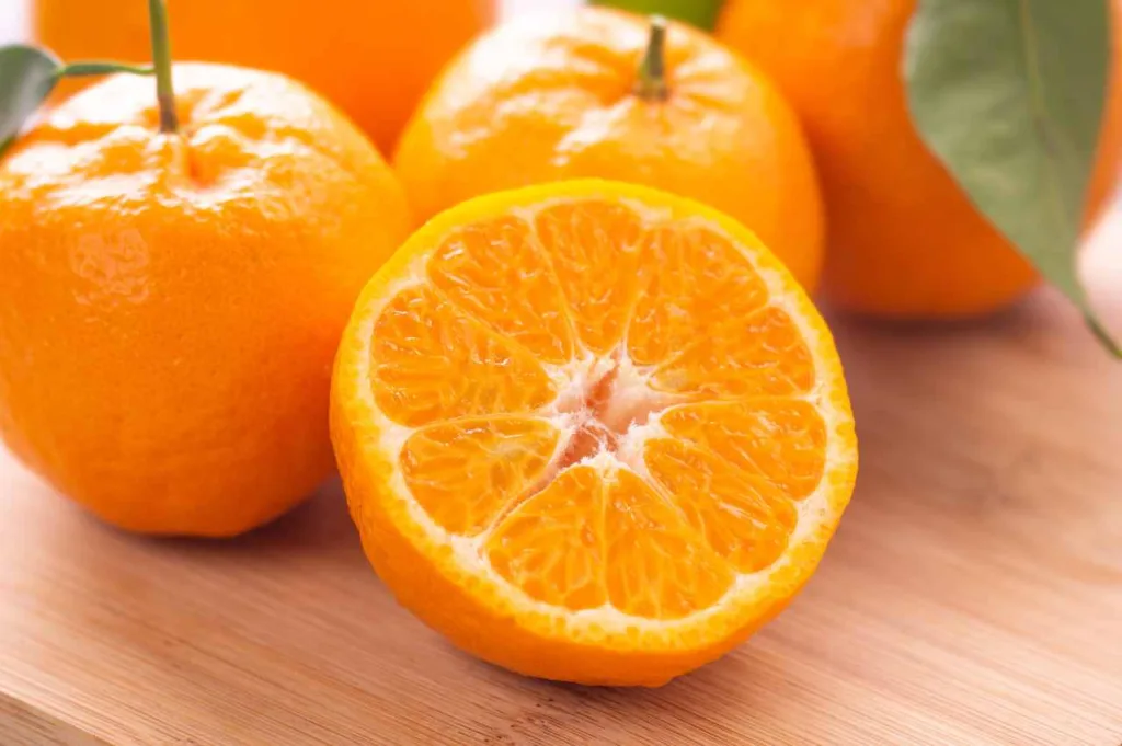 Kan hunder spise mandarin Kan hunder spise mandarin