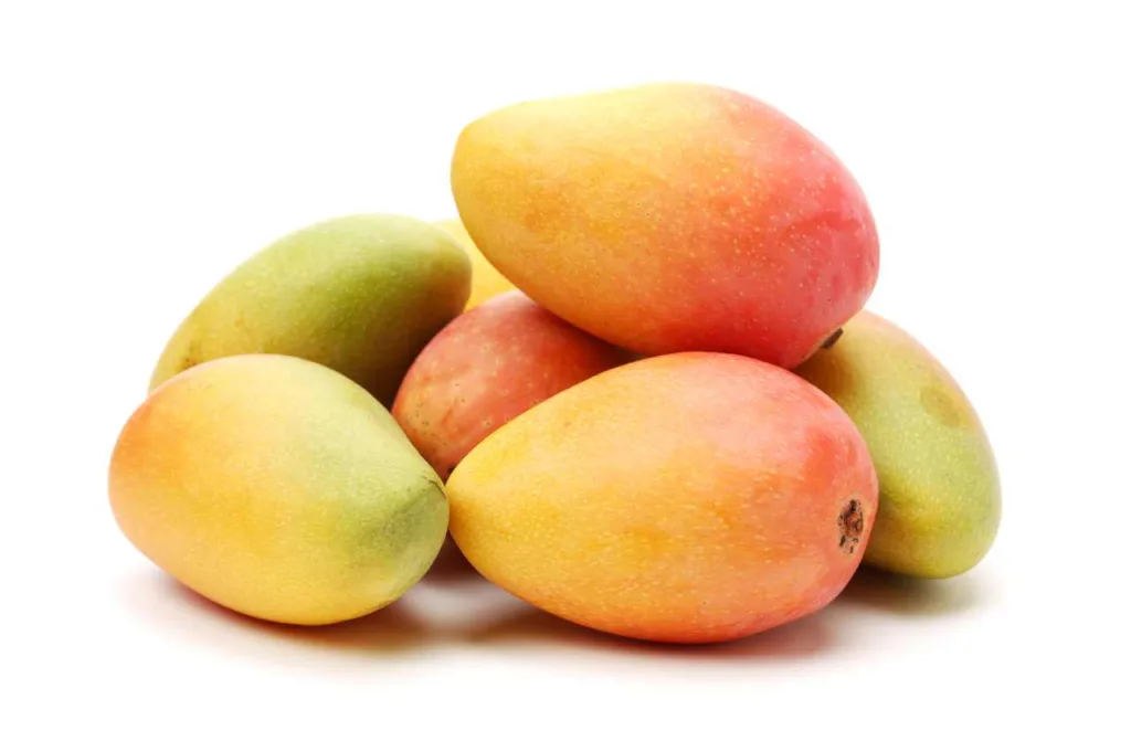 Kan hunder spise mango