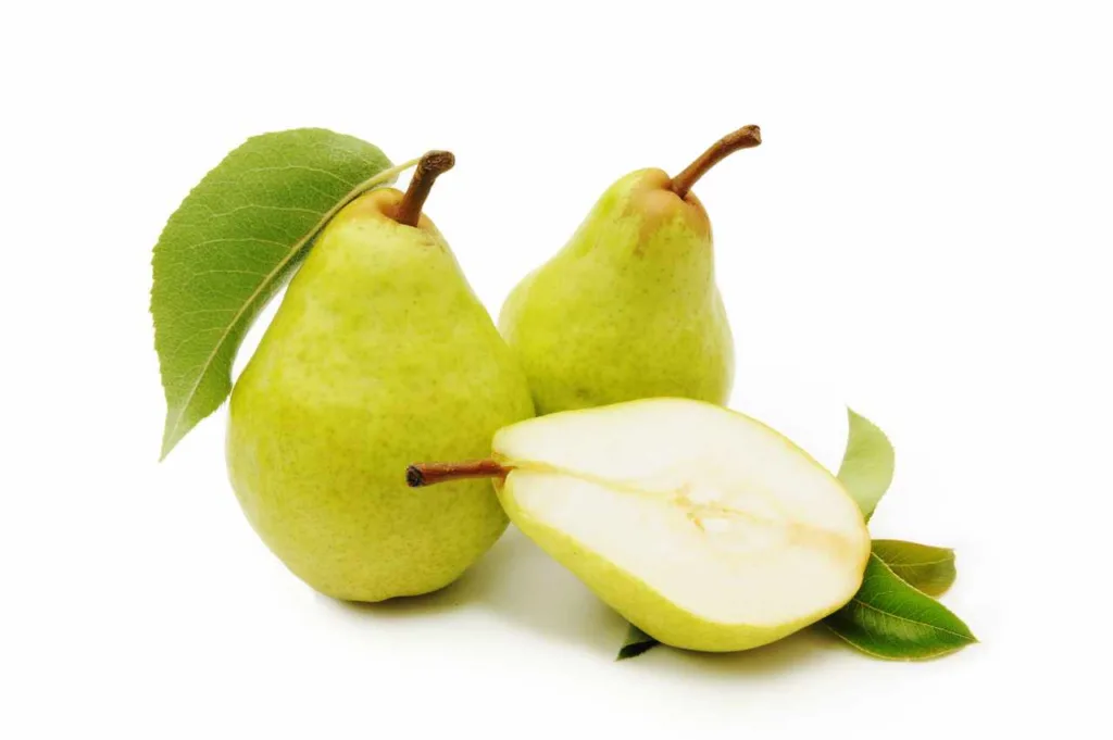 Kan hunder spise pære Kan hunder spise pære