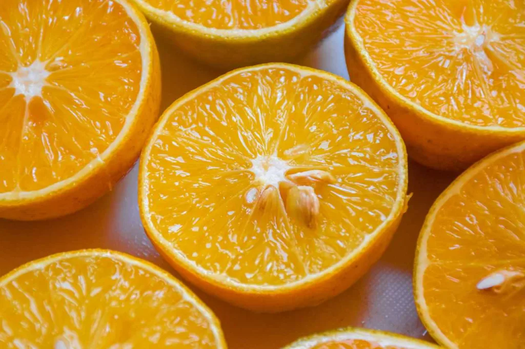 kan hunder spise appelsin