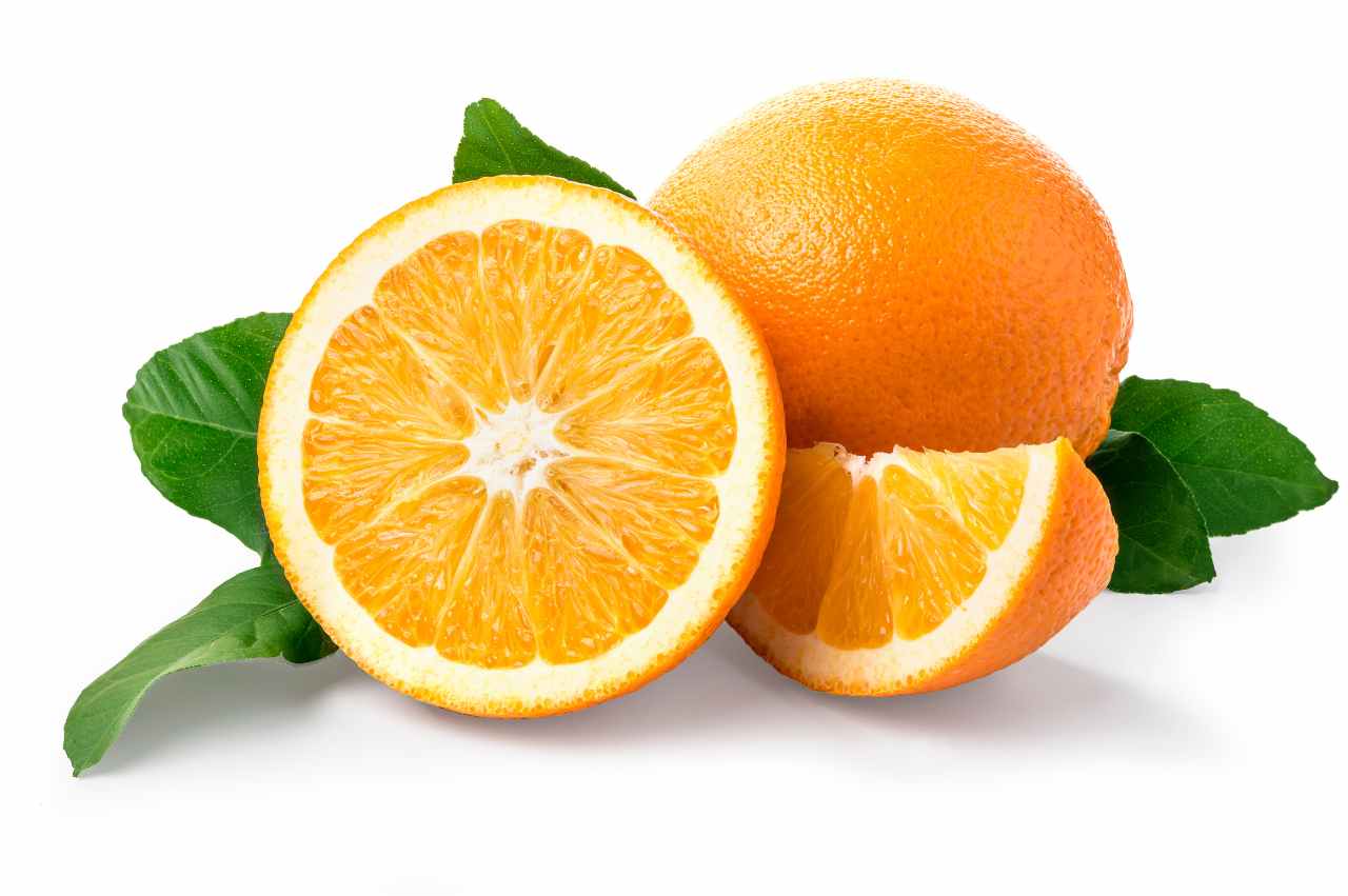 Kan hunder spise appelsin