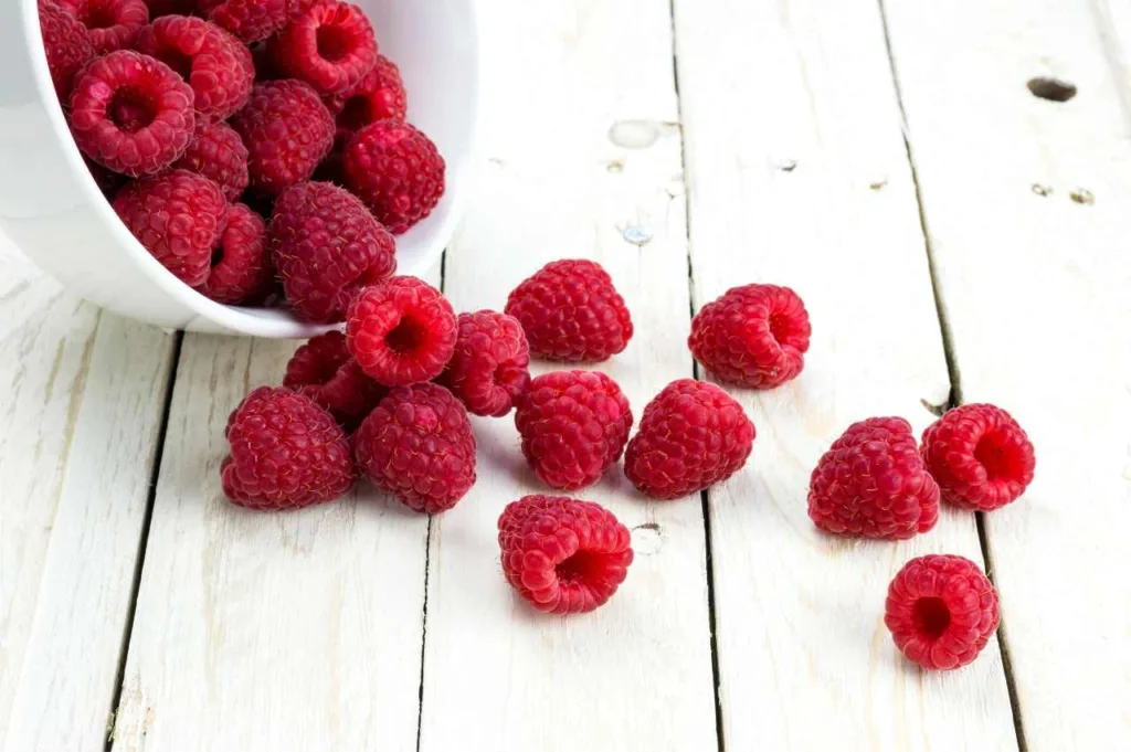 Kan hunder spise bringebær (Besvart!) Kan hunder spise bringebær