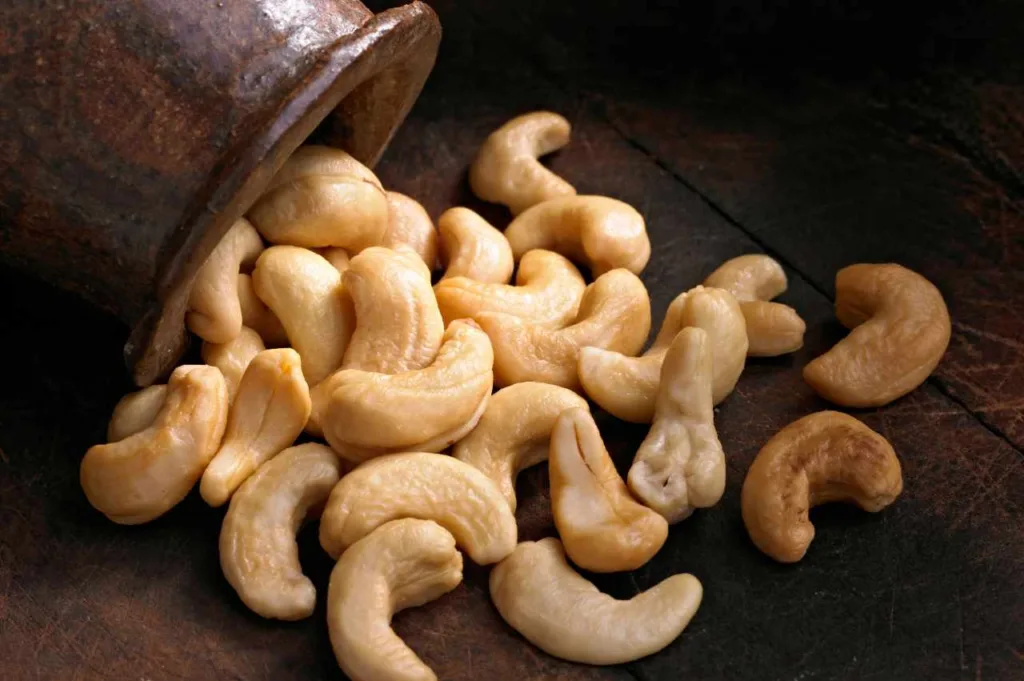 Kan hunder spise cashewnøtter (Pass på!)