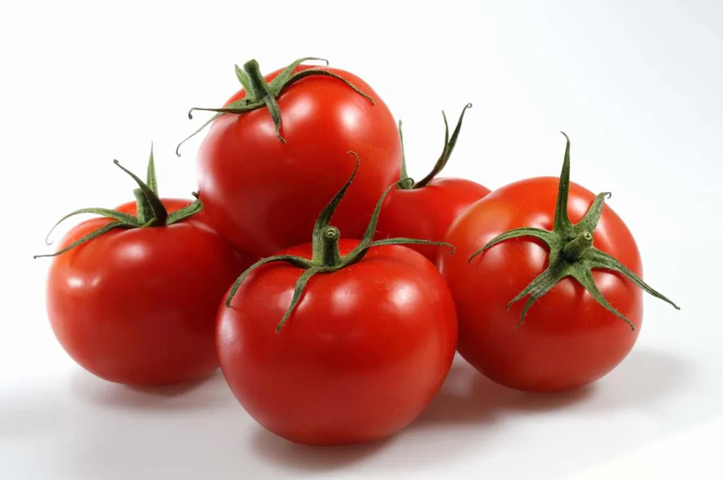 Kan hunder spise makrell i tomat